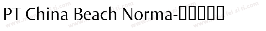 PT China Beach Norma字体转换